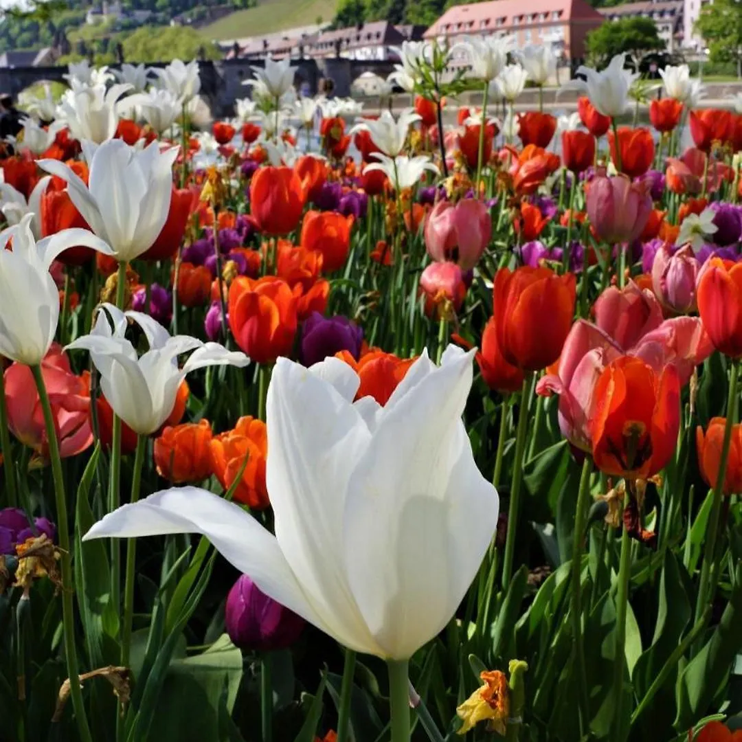 Best Western Hotel Wuerzburg-Sued